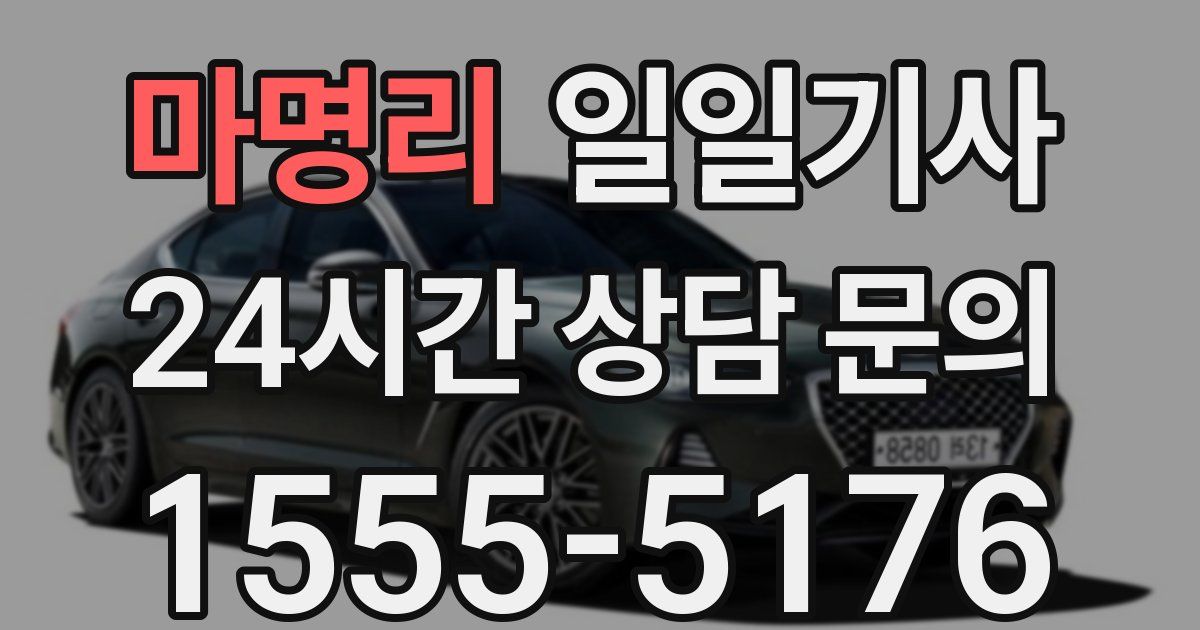일일대리기사