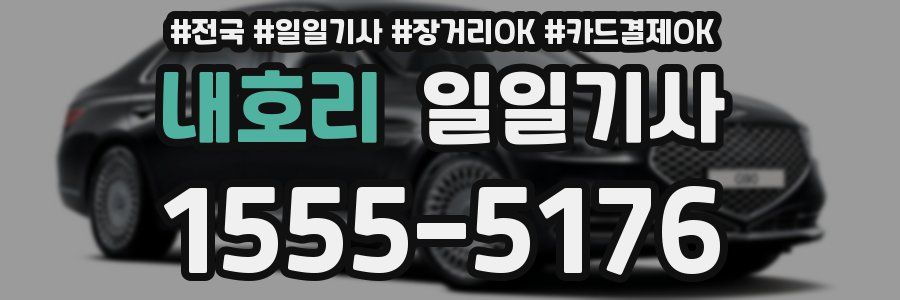 내호리 일일기사