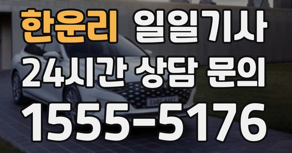 일일대리기사