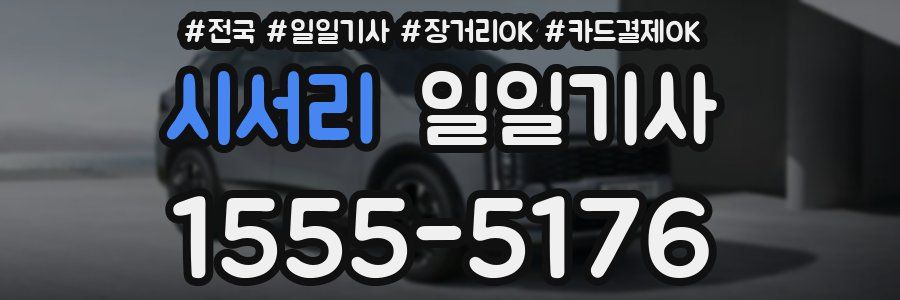 시서리 일일기사