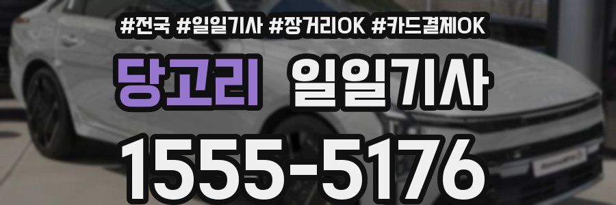 당고리 일일기사