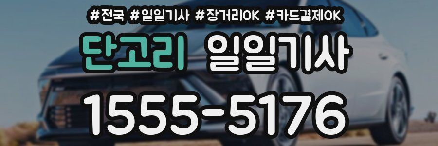 단고리 일일기사