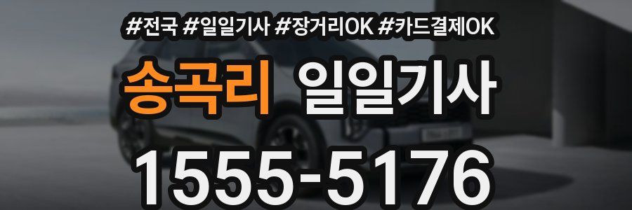송곡리 일일기사
