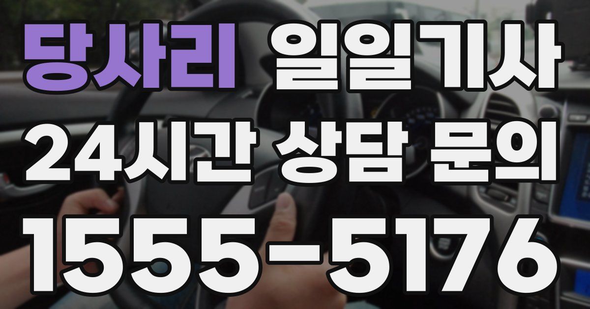 일일대리기사