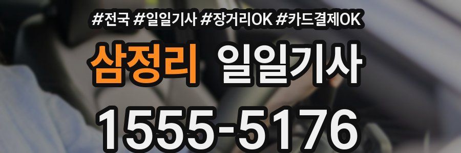 삼정리 일일기사