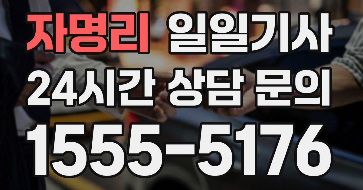 일일대리기사