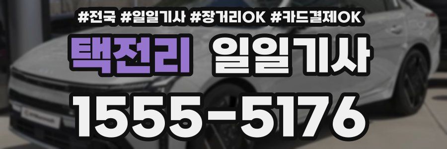 택전리 일일기사