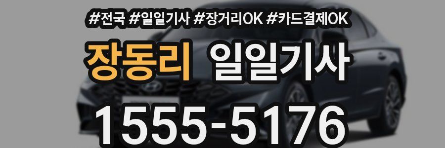 장동리 일일기사