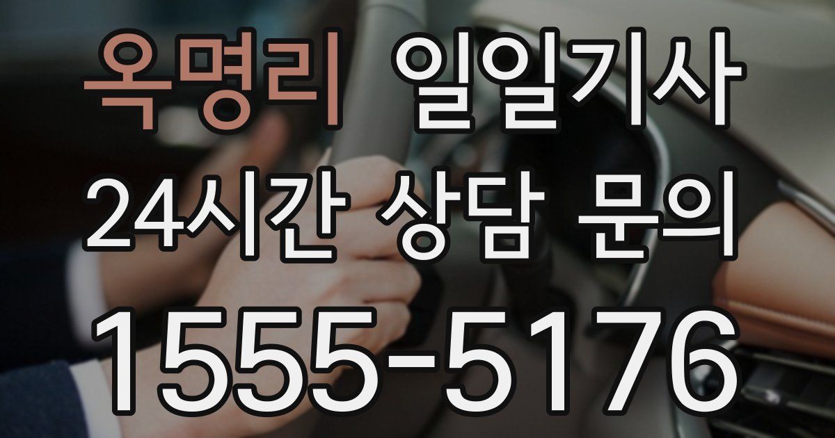 일일대리기사