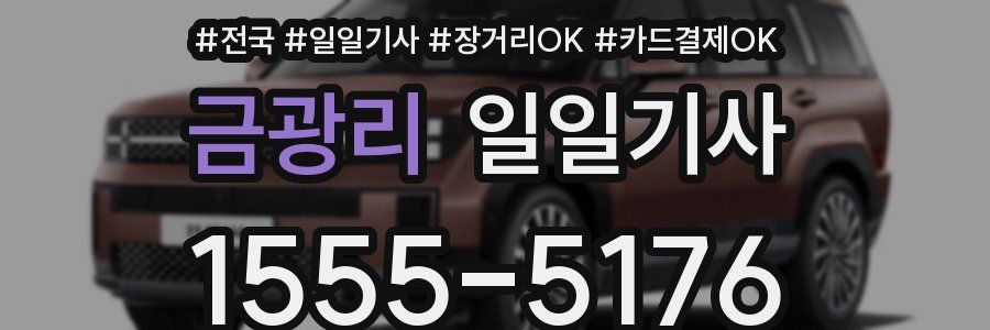 금광리 일일기사