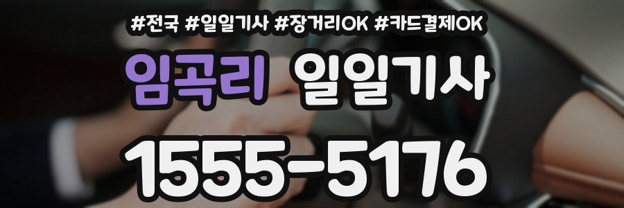 임곡리 일일기사