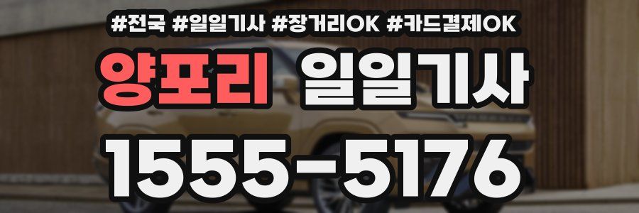 양포리 일일기사