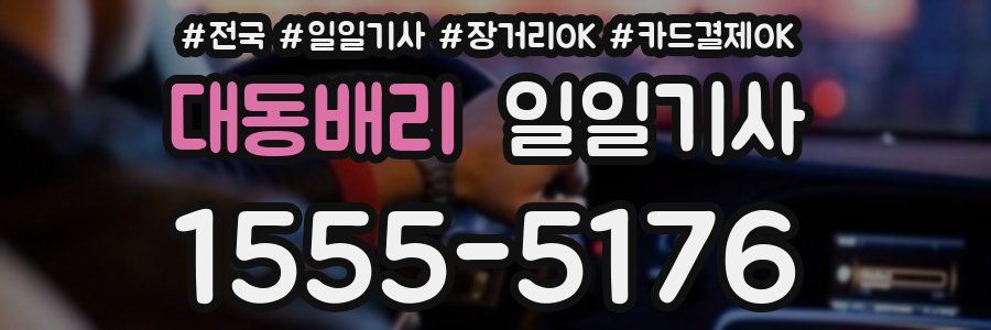 대동배리 일일기사