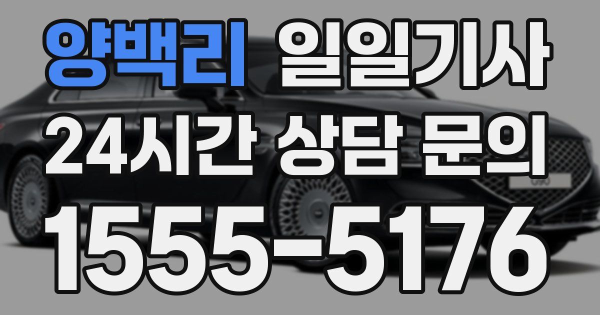일일대리기사