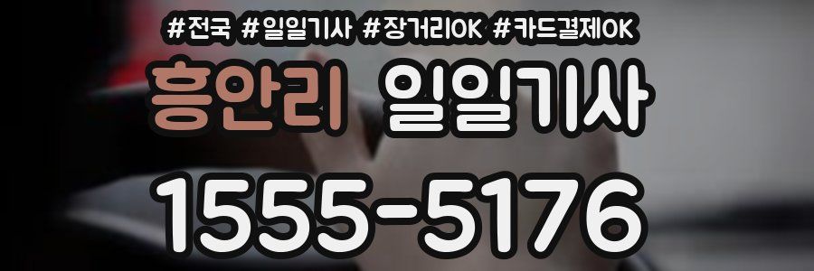 흥안리 일일기사