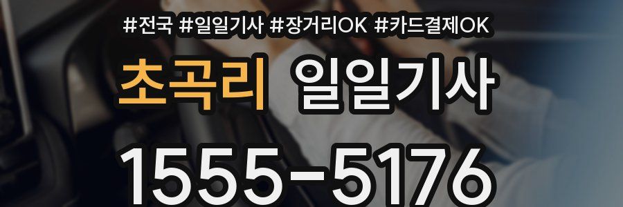 초곡리 일일기사