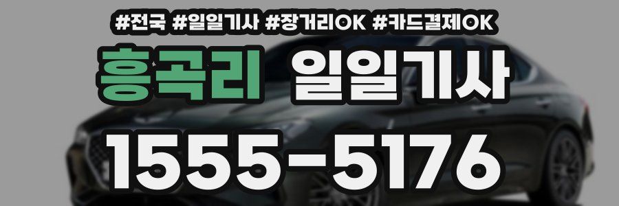 흥곡리 일일기사