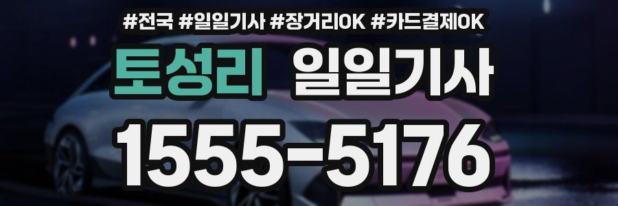 토성리 일일기사