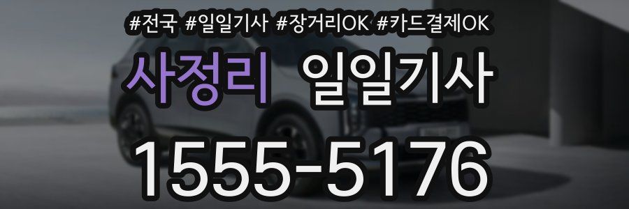 사정리 일일기사