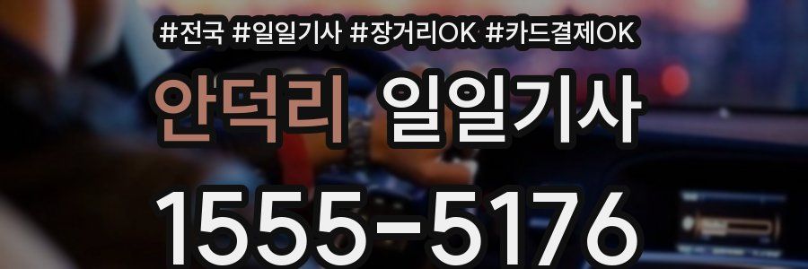 안덕리 일일기사