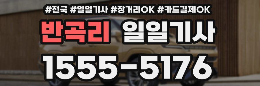 반곡리 일일기사