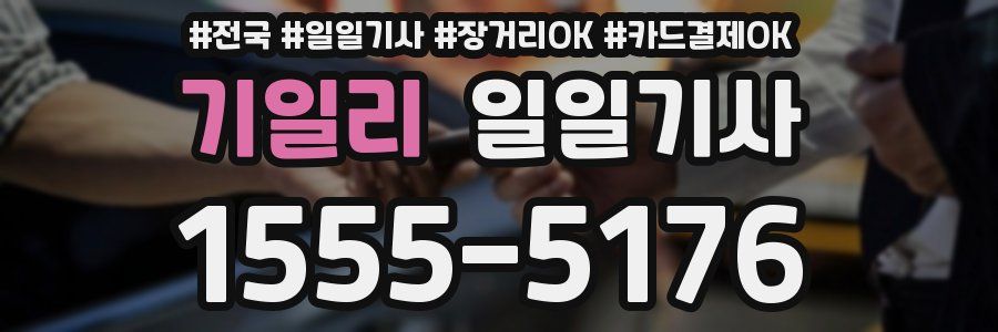 기일리 일일기사