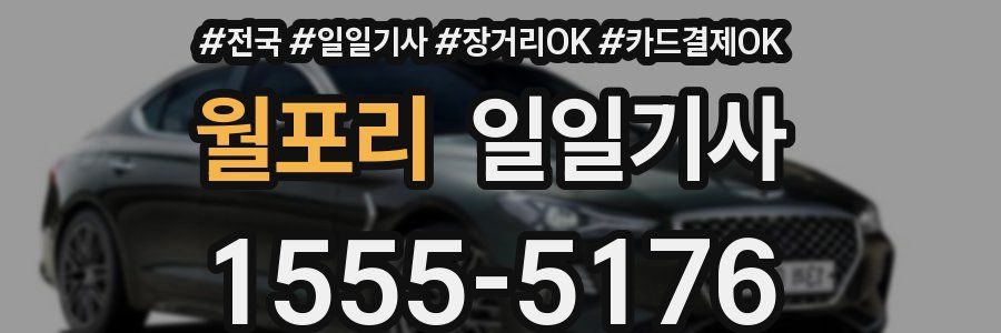 월포리 일일기사