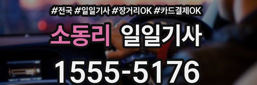 소동리 일일기사