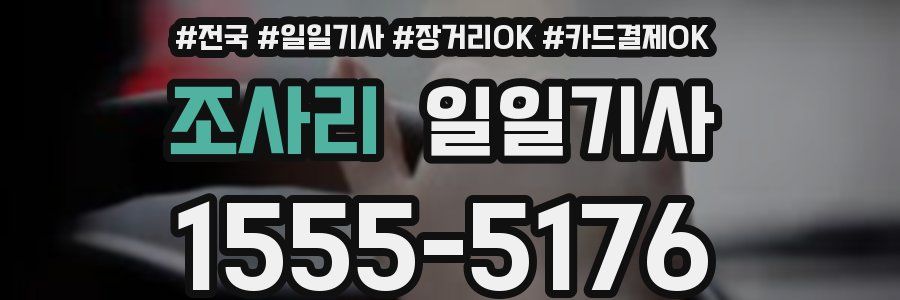 조사리 일일기사