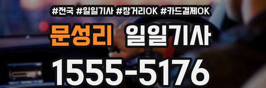 문성리 일일기사