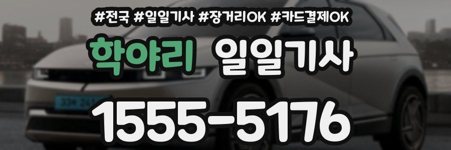 학야리 일일기사