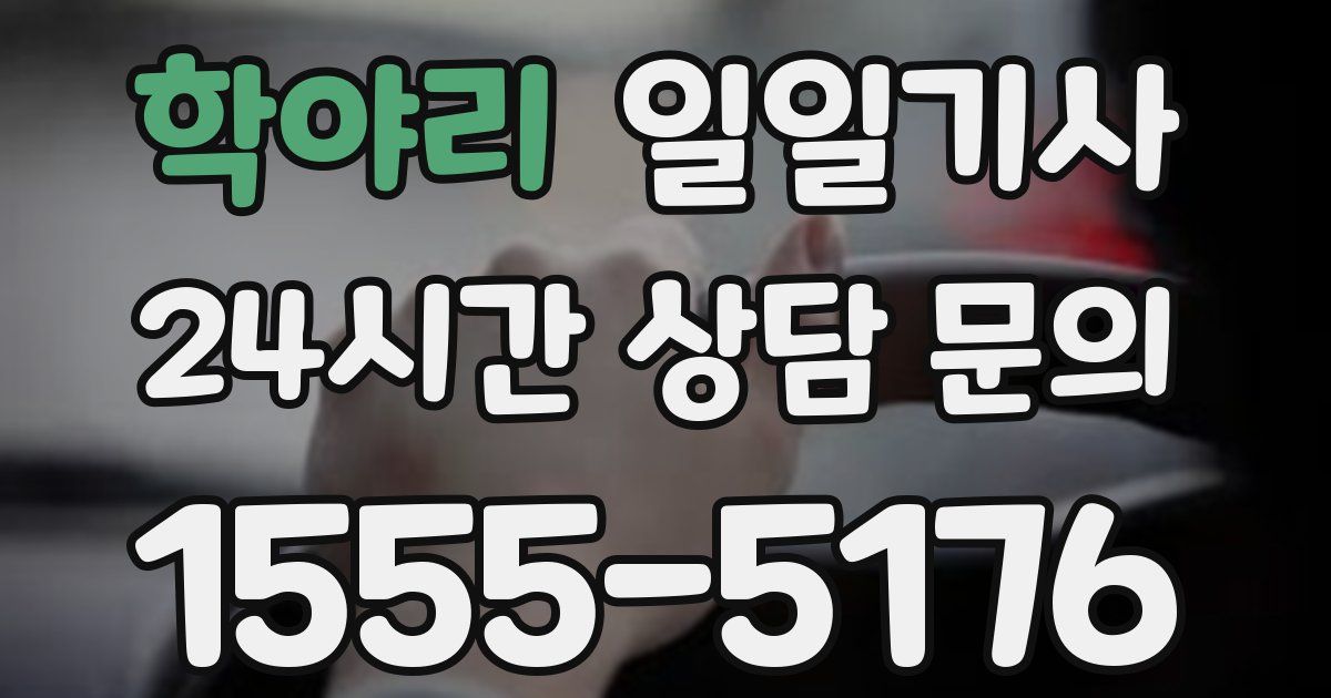 일일대리기사