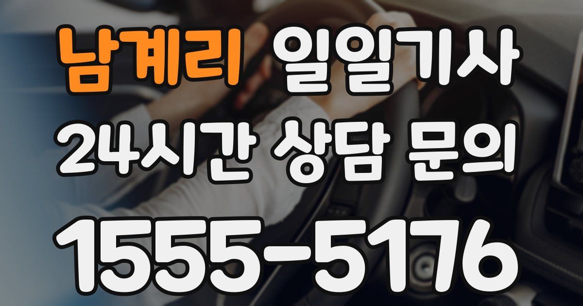 일일대리기사