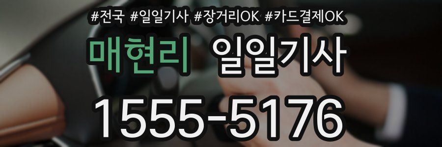 매현리 일일기사