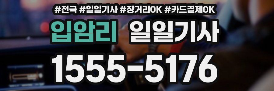 입암리 일일기사