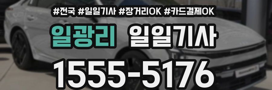 일광리 일일기사