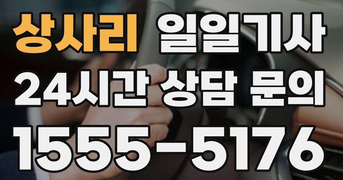 일일대리기사