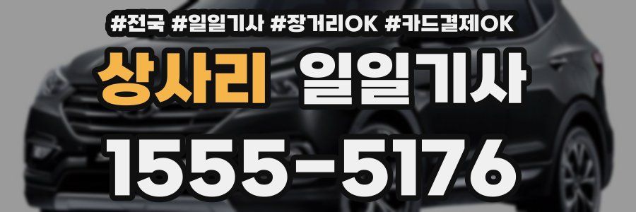 상사리 일일기사