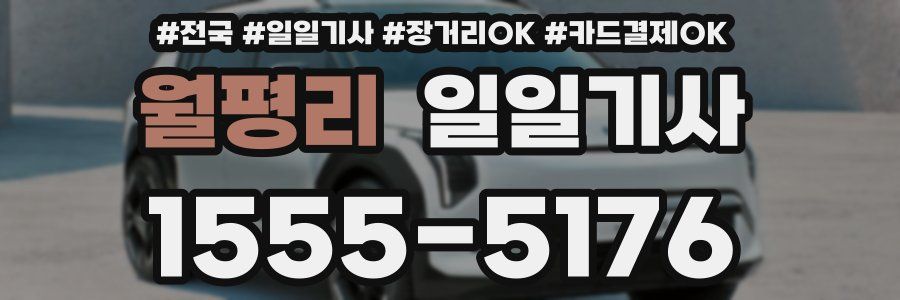 월평리 일일기사