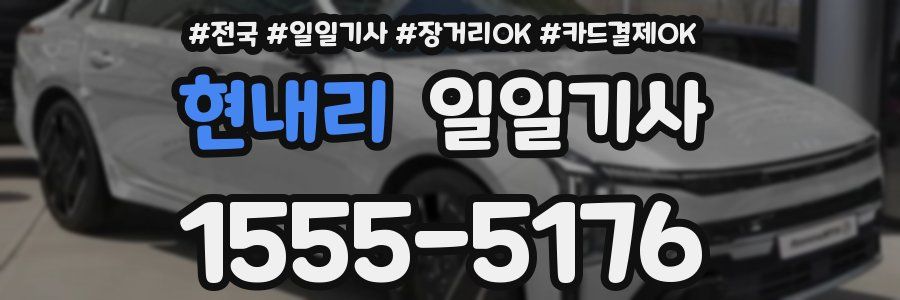 현내리 일일기사