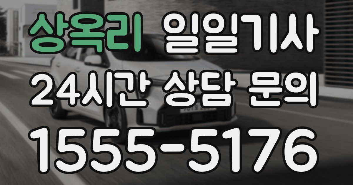 일일대리기사