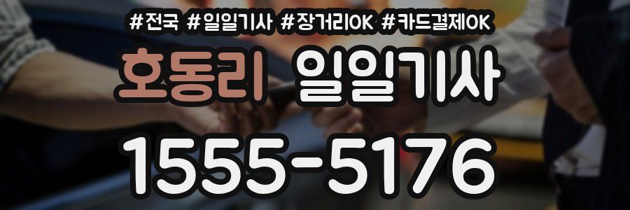 호동리 일일기사