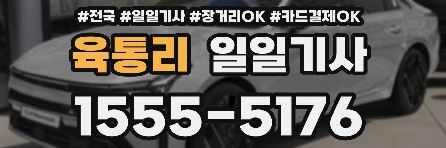 육통리 일일기사