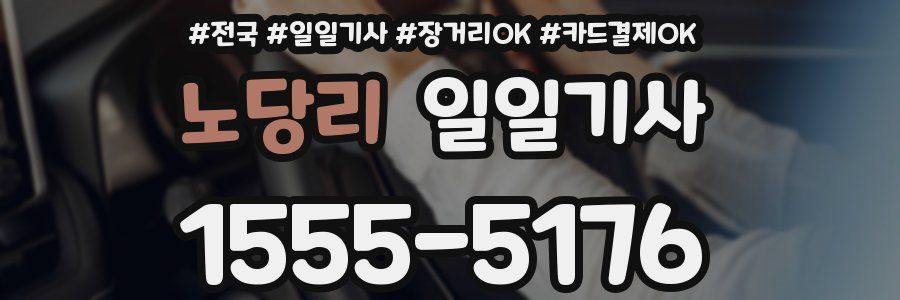 노당리 일일기사