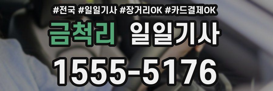 금척리 일일기사