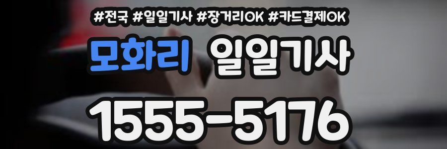 모화리 일일기사