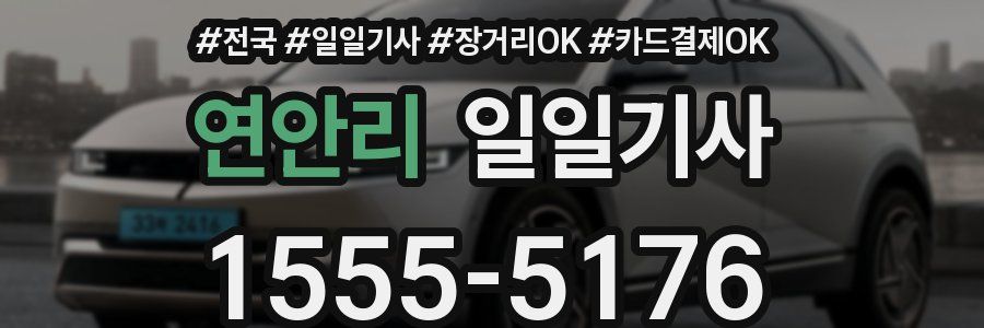 연안리 일일기사