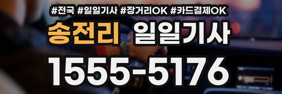 송전리 일일기사