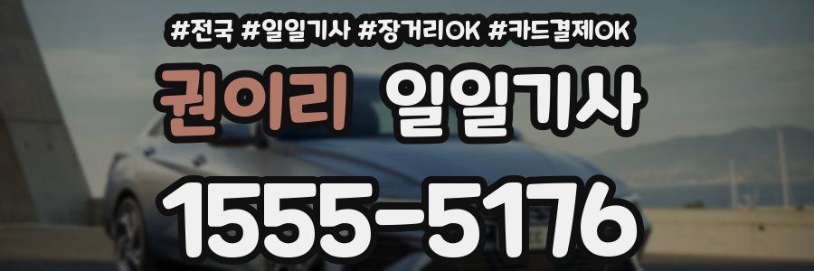 권이리 일일기사