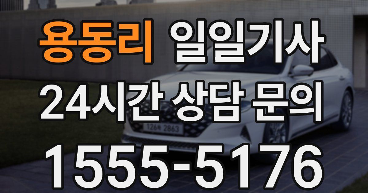 일일대리기사